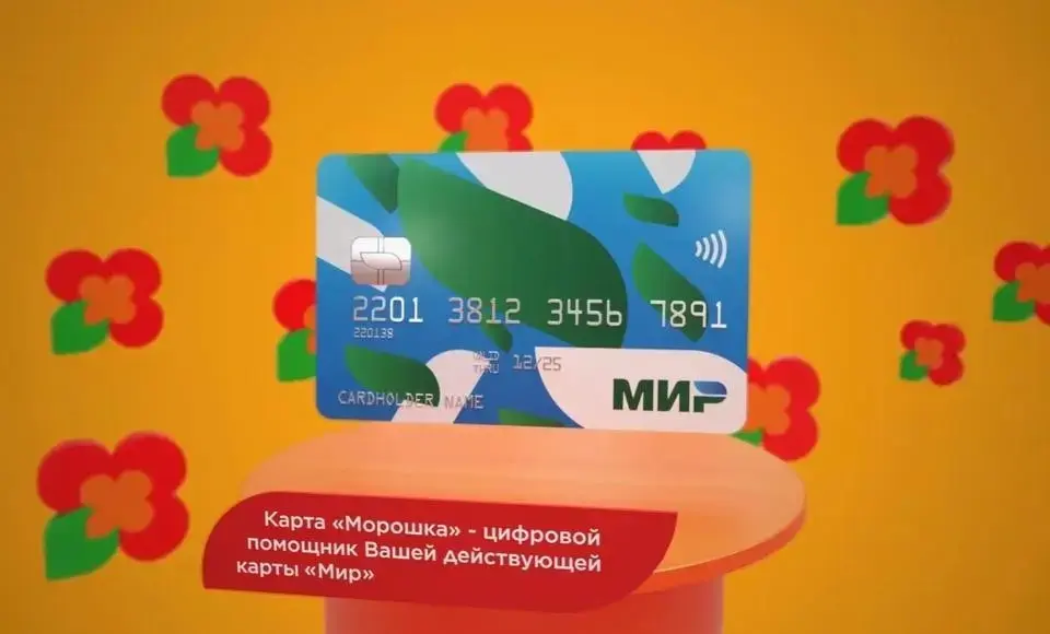 В проекте «Морошка» появились новые партнеры и выгодные предложения для покупателей