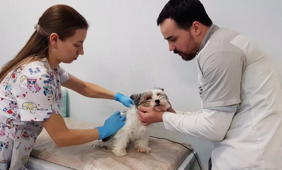 На Ямале празднуют столетие со дня открытия первого учреждения госветслужбы