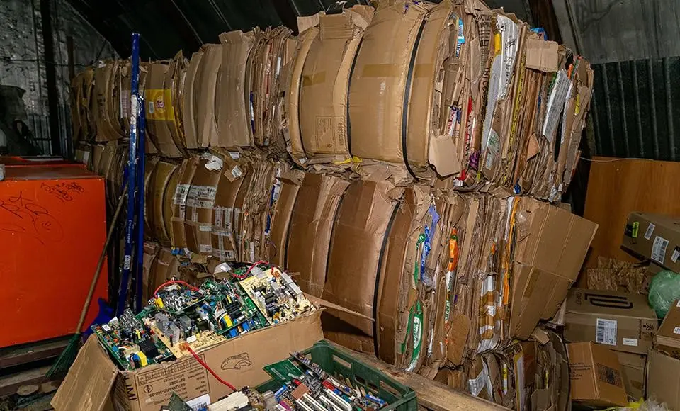 У каждого есть возможность внести вклад в сохранение природы