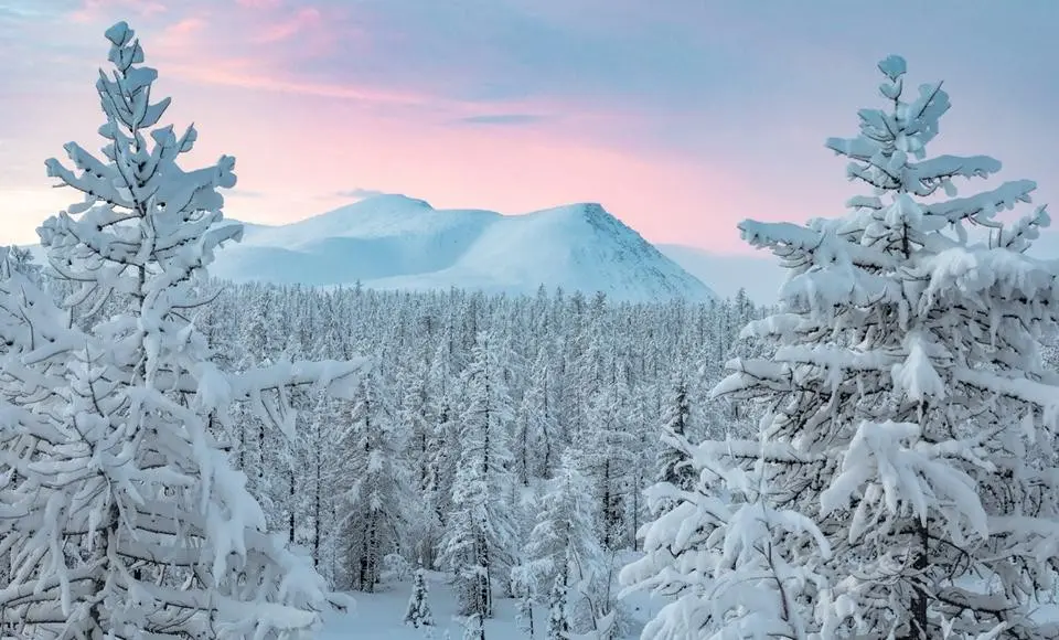 На Ямале подведены итоги экологического мониторинга