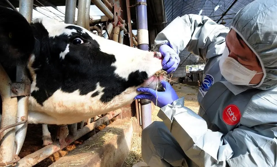 «Салехардский центр ветеринарии» информирует