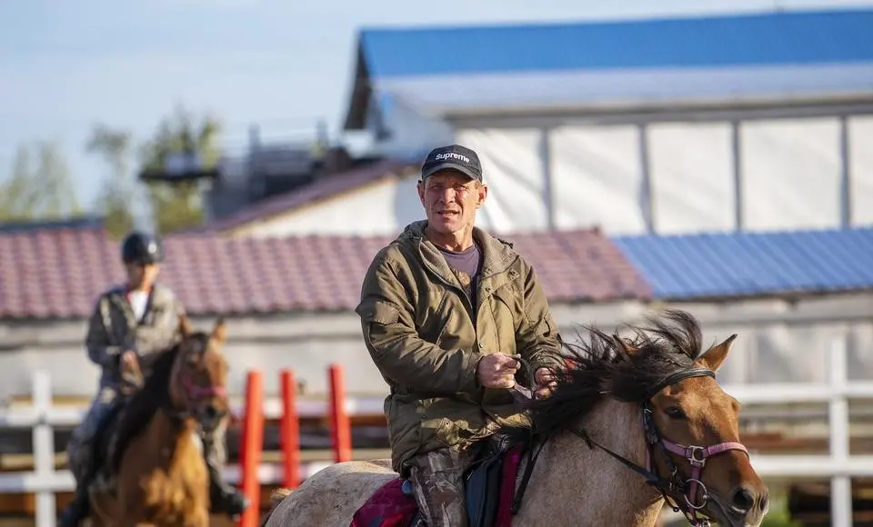 На Ямале планируют создать племенное стадо приобских лошадей