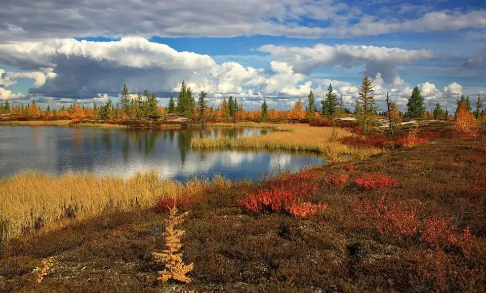 Ямальских фотографов приглашают участвовать во всероссийском конкурсе "Водные достояния России (осень) — 2025"
