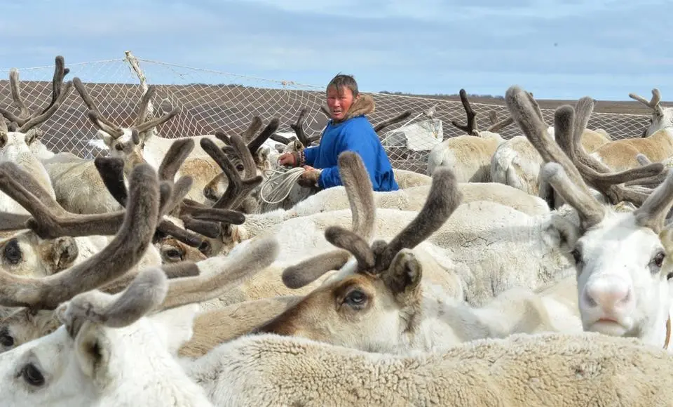 Удвоенные «кочевые» получат ямальцы уже в апреле