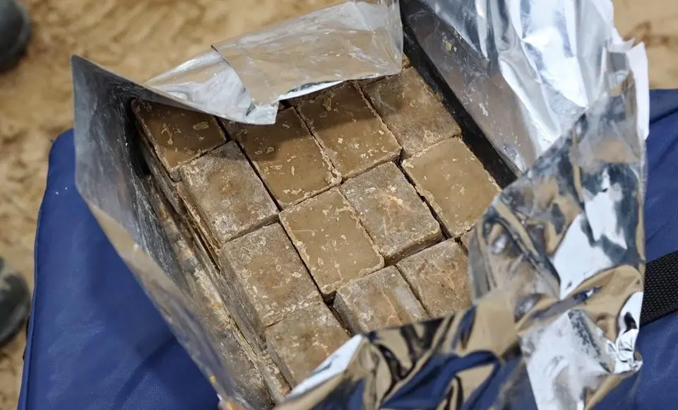 На Ямале проводится вакцинация диких животных против бешенства